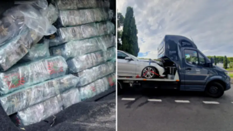 25 kg de cannabis saisis sur l'A9 : un Ukrainien condamné à 3 ans de prison