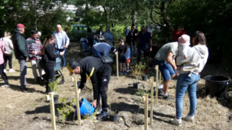 28 grenadiers plantés à Montfrin pour le projet "Un arbre, une naissance"