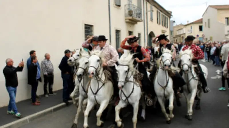 39e concours d'abrivado : la manade Milla La Comtesse remporte la victoire
