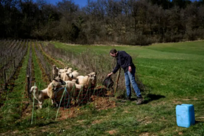 40 millions d'euros pour les zones intermédiaires, les reliquats bio réaffectés
