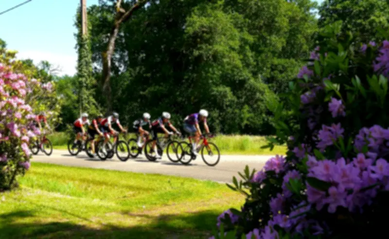 4e Souvenir Lucien-Desmond : une cinquantaine de coureurs à Sindères