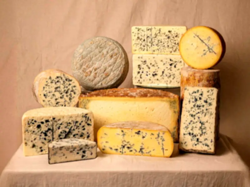 8 fromages bleus français pour un plateau d'exception