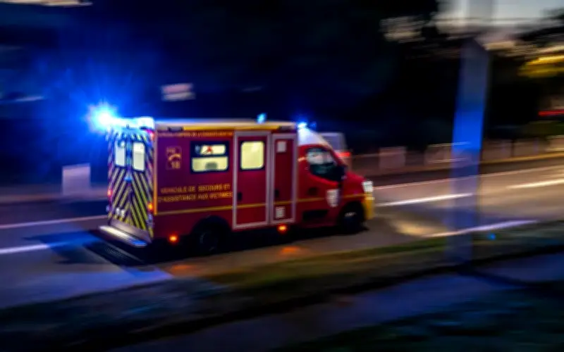 Accident sur la D 1215 : un conducteur blessé après avoir évité un animal