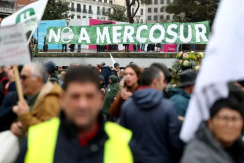 Accord UE-Mercosur : entrée en vigueur provisoire, colère des agriculteurs