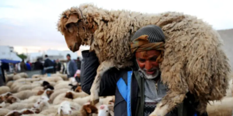 Aïd el-Kébir : sens et traditions de la fête du sacrifice