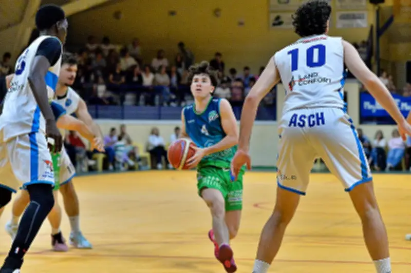 ADLB : victoire précieuse face à Montaigu avant la demi-finale de Coupe des Landes