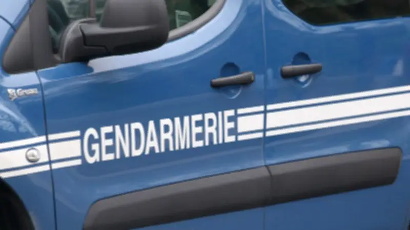 Agression en Allemagne : deux suspects arrêtés en France
