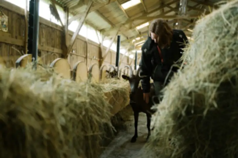 Agriculture : des mesures insuffisantes pour le renouvellement des générations