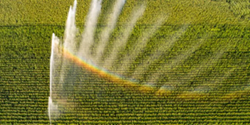 Agriculture : les sciences sociales menacées dans la formation des agronomes