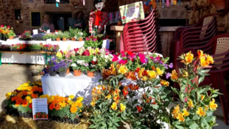 Albatilia célèbre le printemps avec 500 fleurs et une surprise géante