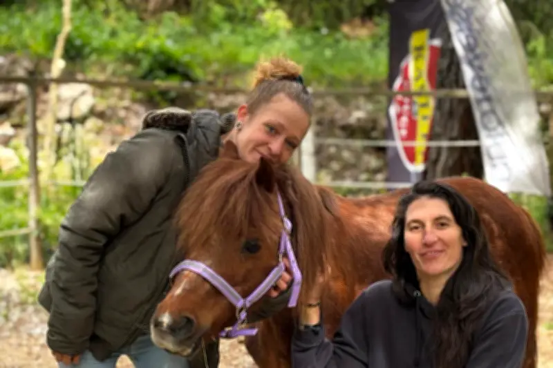 Alegria, ponette sauvée par Julien Courbet, coule des jours heureux à Sillans-la-Cascade
