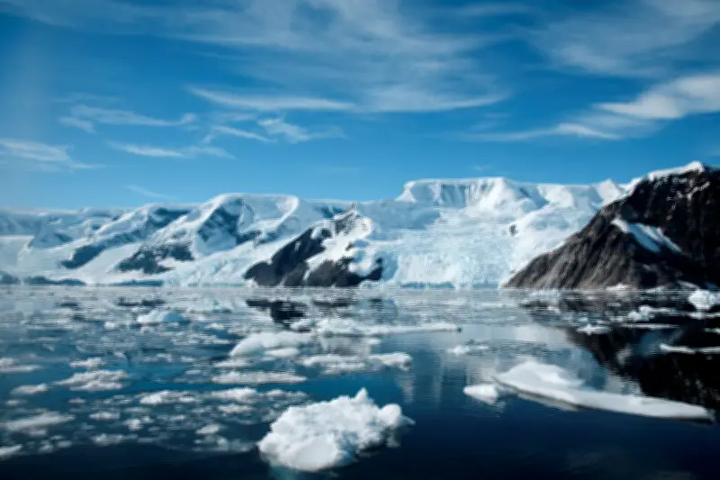 Antarctique en péril : la fonte s'accélère dangereusement