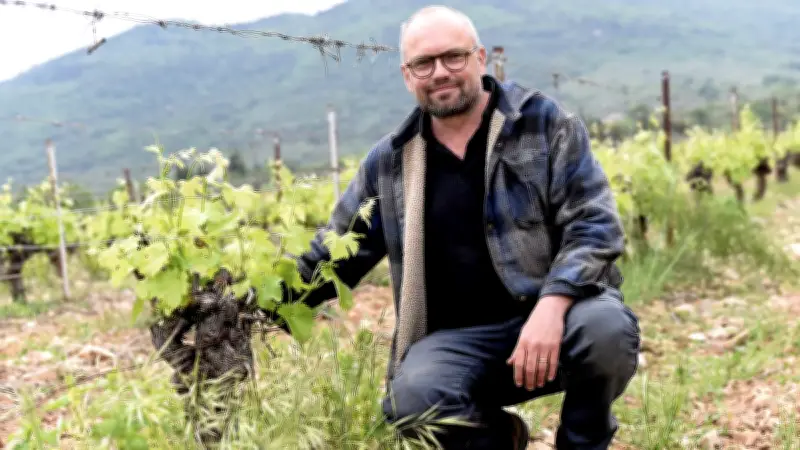 AOC Terrasses du Larzac : 10 ans d'exigence et de réussite viticole