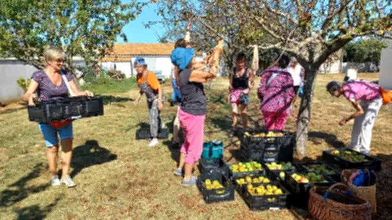 Appel aux propriétaires pour des récoltes solidaires dans le Pays rochefortais