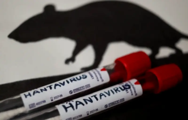 Applications trompeuses profitent de la peur du hantavirus