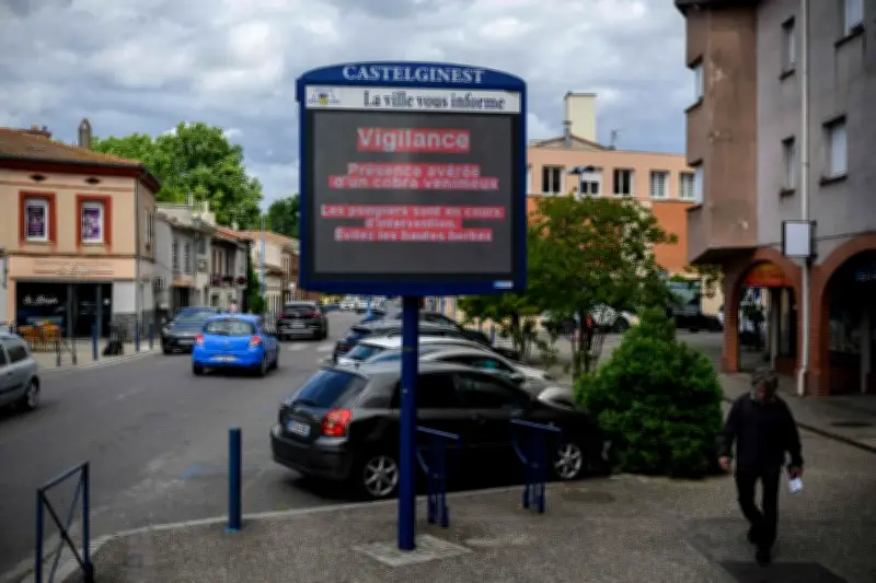 Après le cobra de Castelginest, un autre serpent sème la panique près de Toulouse