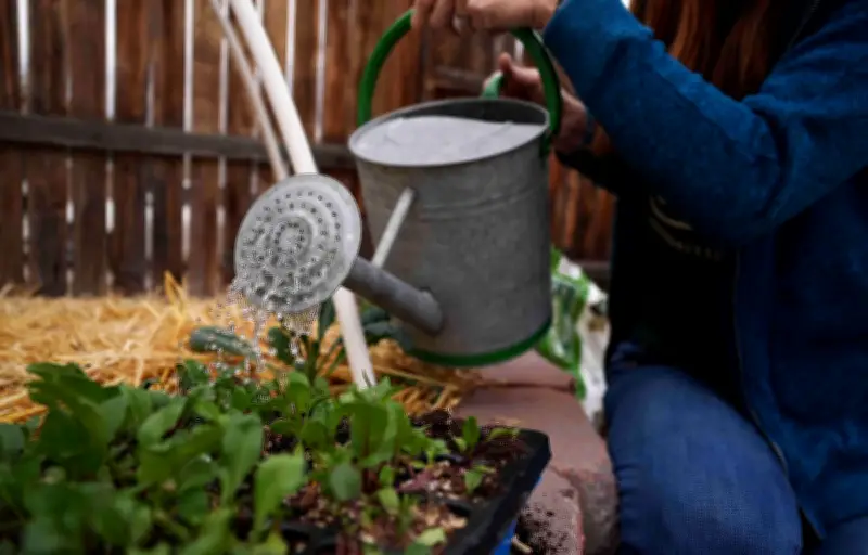 Après les Saints de Glace : guide des légumes à planter en mai