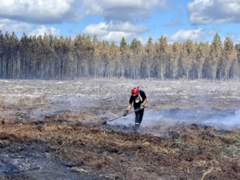 Assemblée générale d'Alliance forêts bois en Gironde le 21 mai