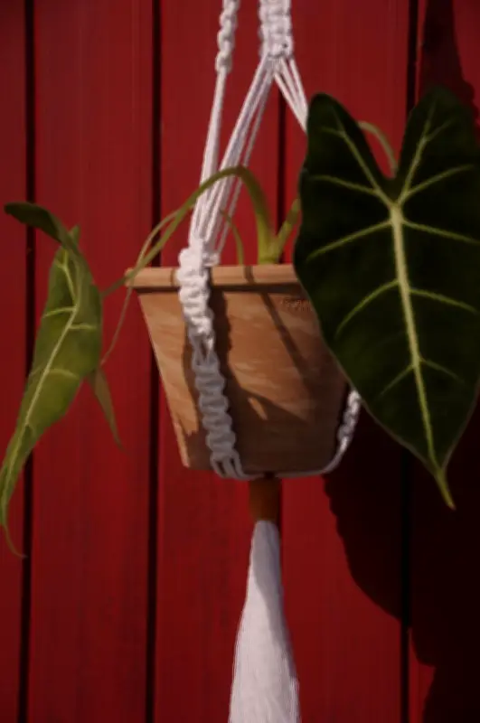 Atelier macramé à la médiathèque : créez votre suspension pour plante