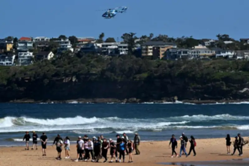 Attaque mortelle d'un grand requin blanc de 4 mètres près de Perth