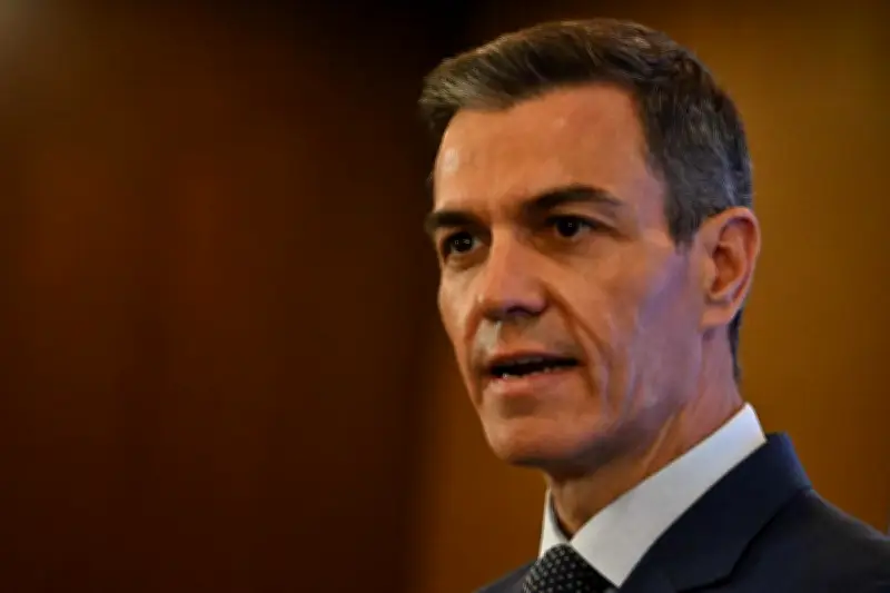 Atterrissage d'urgence de l'avion de Pedro Sanchez à Ankara