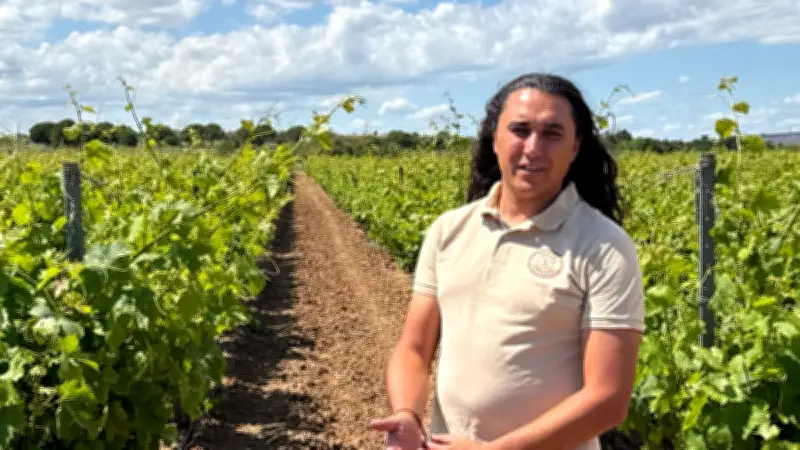 Au mas de l'Horloge, la famille Farenc mise sur l'avenir du vin