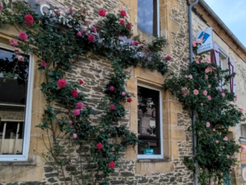 Au pays de la pomme, les rosiers sont rois : la municipalité fleurit le bourg