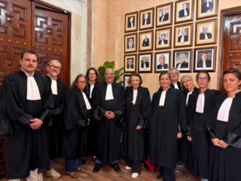Audience avancée pour l'ex-bâtonnier tunisien Chawki Tabib, un avocat français rejoint sa défense