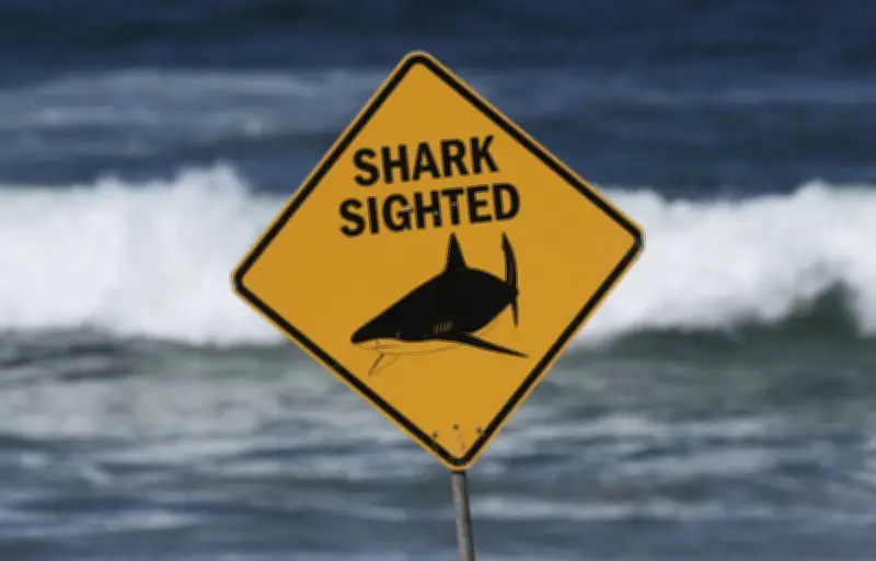Australie : un homme meurt après une attaque de requin dans le Queensland