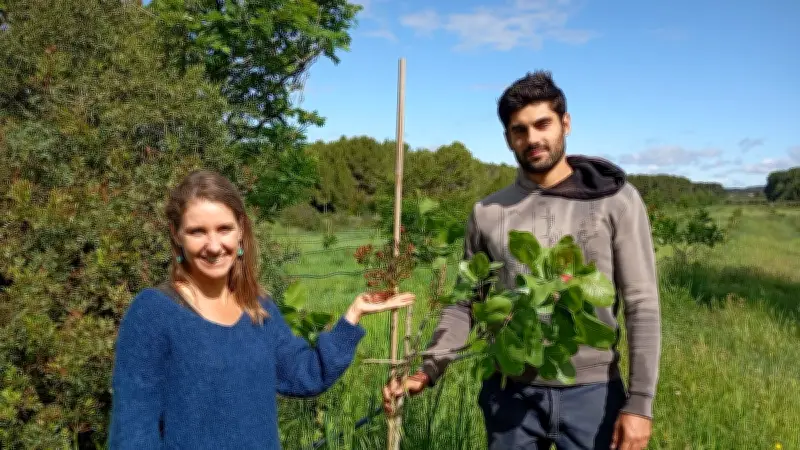 Axelle Bodoy, pionnière de la pistache bio dans l'Hérault