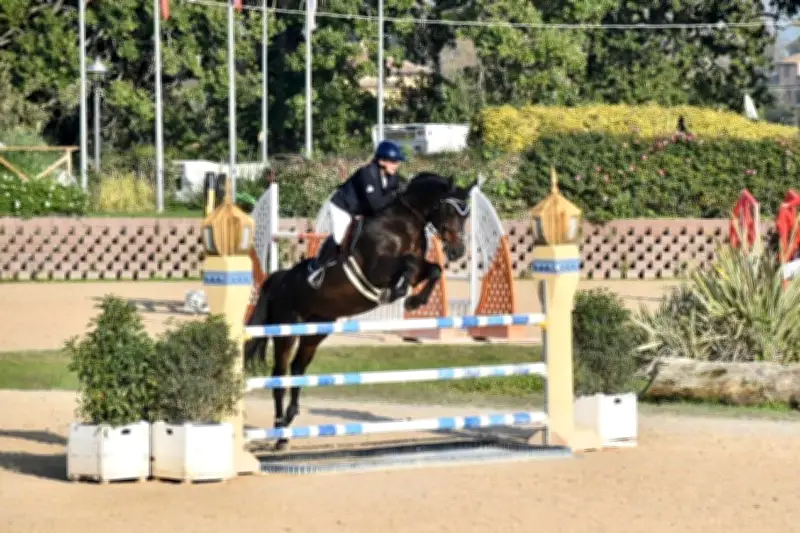 Azur Jumping 2026 : le rendez-vous équestre incontournable à Figanières