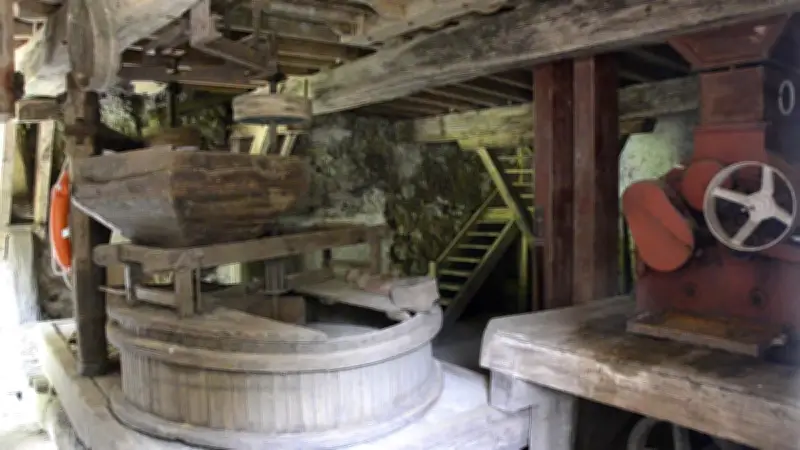 Balade commentée à Préchac : visite exceptionnelle du moulin de Caussarieu