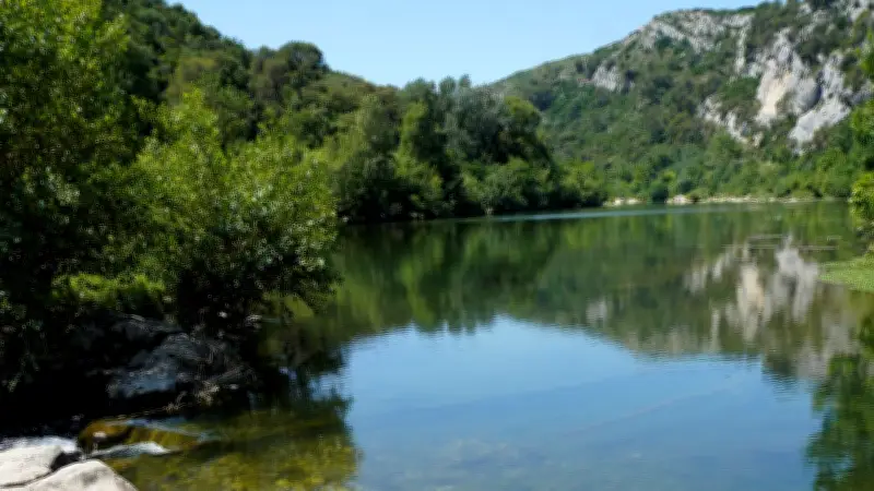 Balade gratuite pour découvrir la ripisylve à Collias le 3 juin