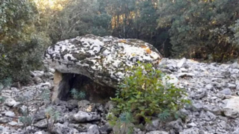 Balade guidée à la découverte des dolmens en Ardèche et Gard