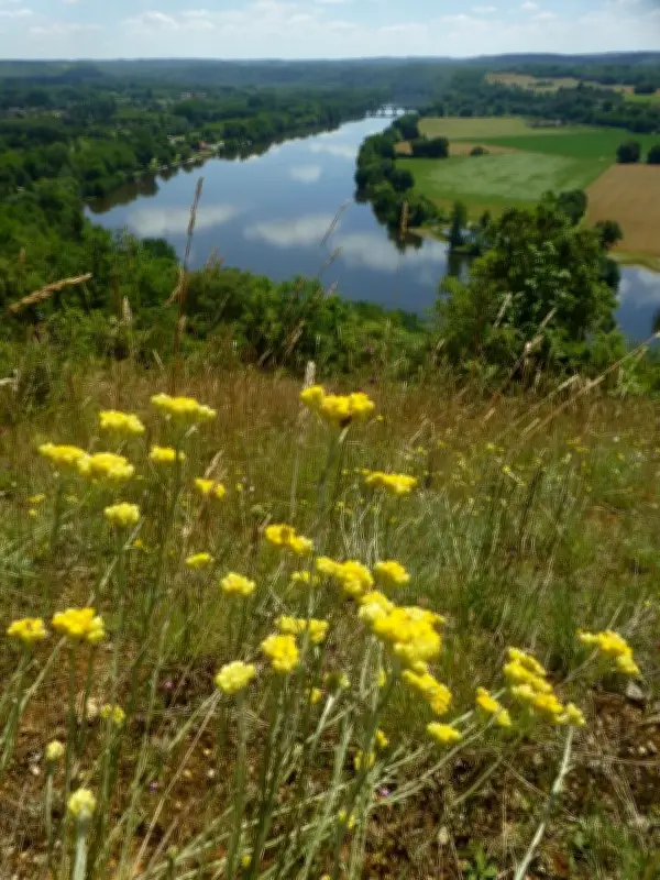 Balade nature à Trémolat pour observer la biodiversité locale