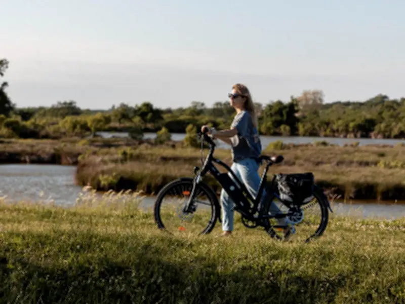 Balade à vélo « Pépites et gourmandises » à Audenge et Lanton