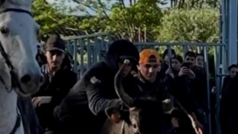 Bandido et encierros : quatre jours de fête taurine à Langlade