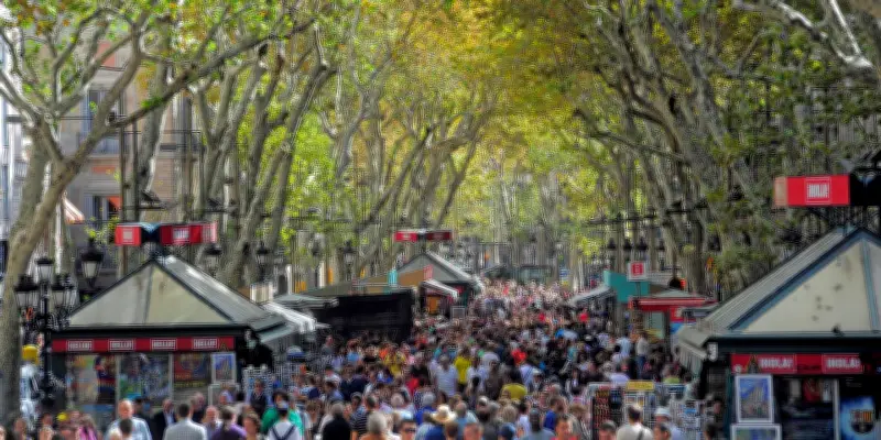 À Barcelone, la fin annoncée des platanes emblématiques