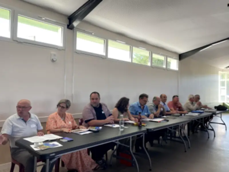 Béarn des gaves : motion pour renforcer le réseau électrique et soutien aux Petites villes de demain