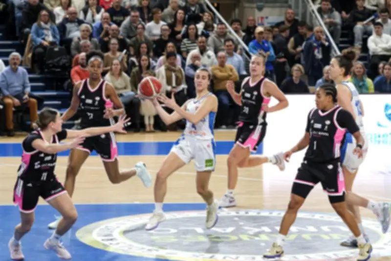 Basket : cinq nouvelles joueuses rejoignent le champion de France