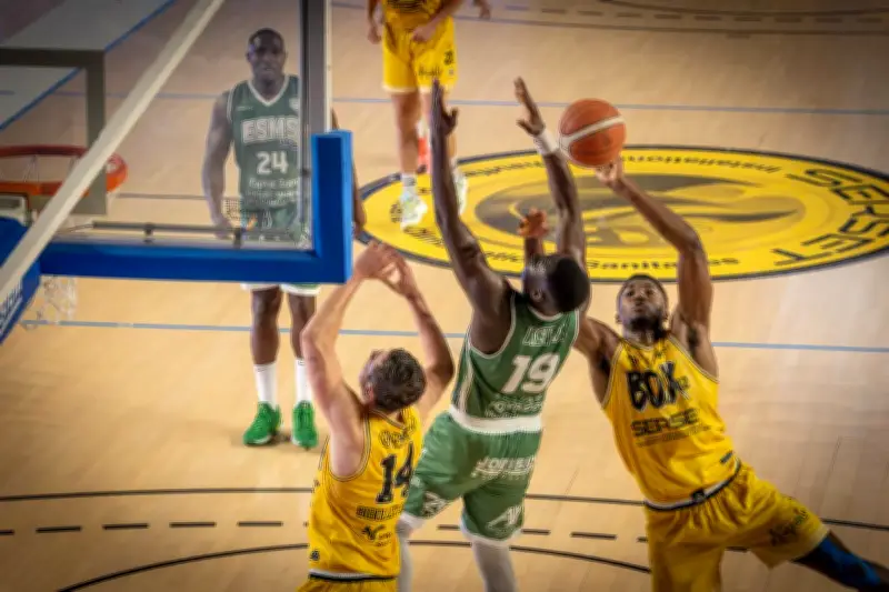 Basket : JSA Bordeaux domine l'ESMS et reprend la deuxième place