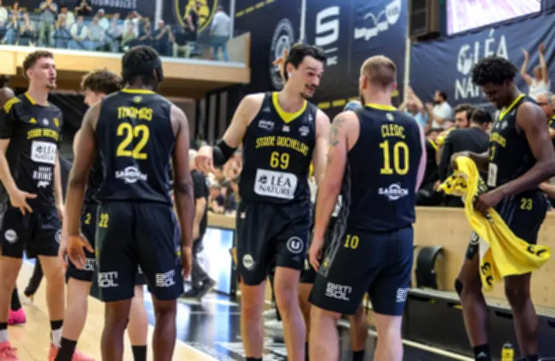 Basket : La Rochelle qualifiée pour le play-in après la défaite de Denain