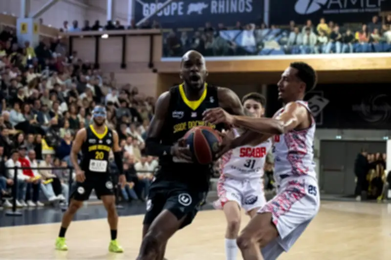 Basket : La Rochelle s'impose face à Scabb dans une ambiance de fête