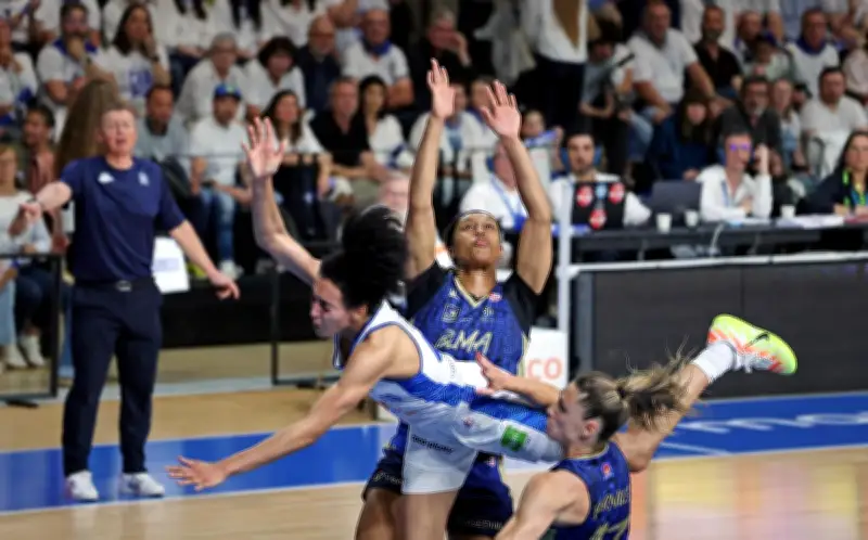 Basket Landes arrache sa place en finale au bout du suspense