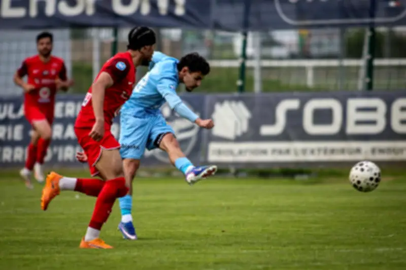 Bayonne termine sa saison en beauté avec un dixième succès à domicile
