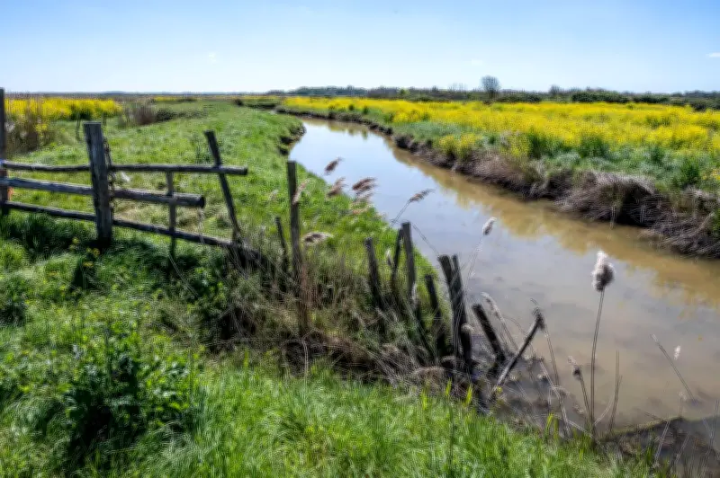 Biodiversité : la France en retard sur ses objectifs de protection
