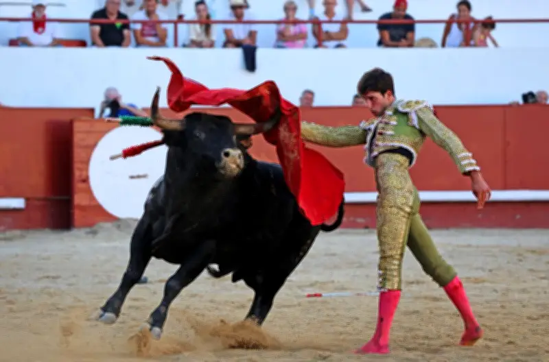 Bolsin de Bougue : tremplin vers les sommets de la tauromachie