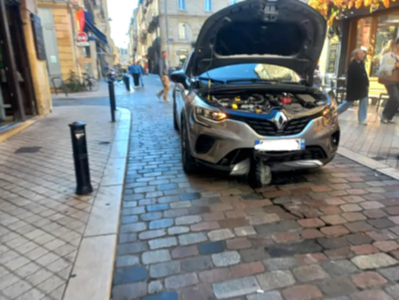 Bordeaux : 1 839 chocs contre des bornes piétonnes en 2025, +319% en cinq ans