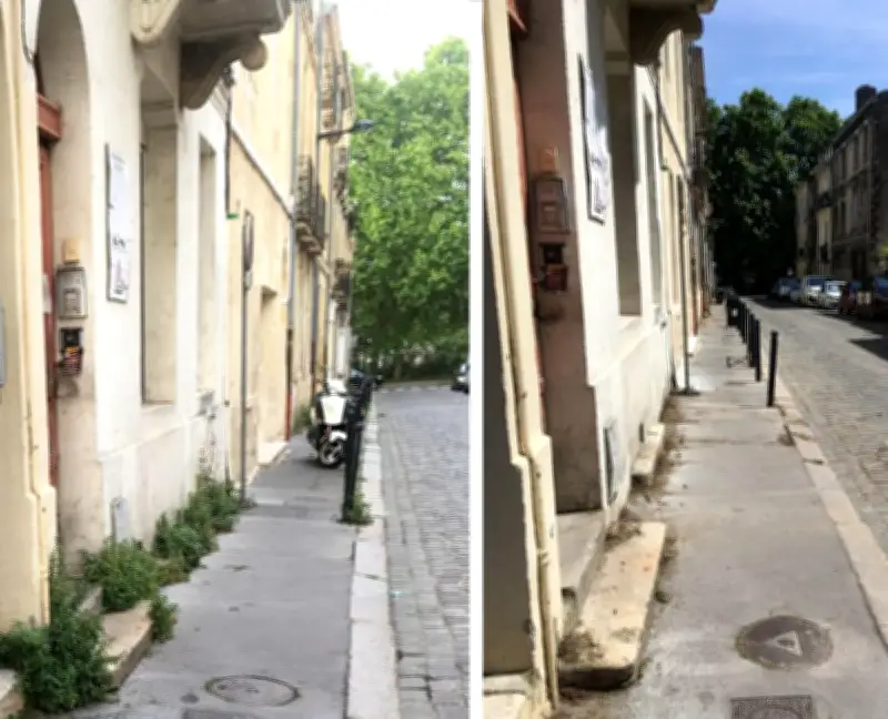 Bordeaux : désherbage exceptionnel des trottoirs, les habitants soulagés