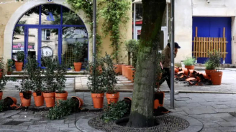 Bordeaux : terrasse végétalisée vandalisée, acte d'intimidation suspecté